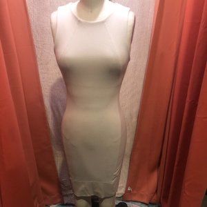 Babaton bodycon bone color dress